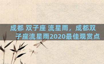 成都 双子座 流星雨，成都双子座流星雨2020最佳观赏点